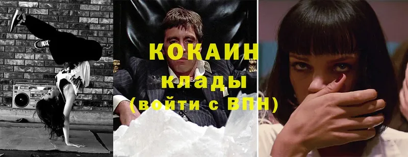 где можно купить   гидра маркетплейс  Cocaine 98%  Звенигово 