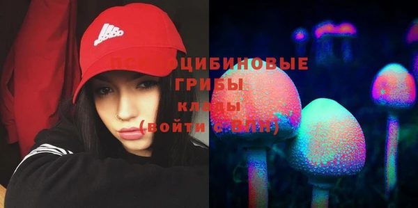 ПСИЛОЦИБИНОВЫЕ ГРИБЫ Бабаево