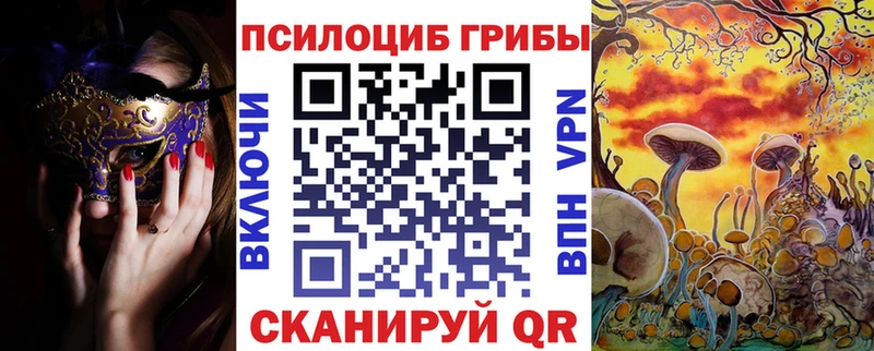 Псилоцибиновые грибы мицелий  Звенигово 