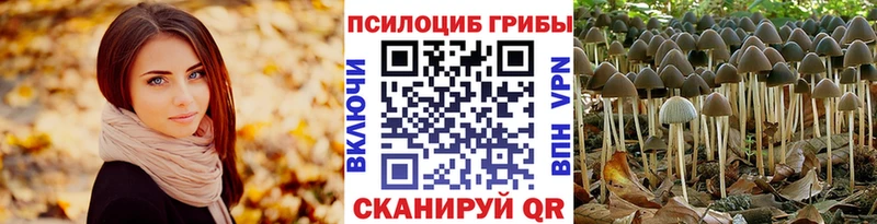 Псилоцибиновые грибы Cubensis Звенигово